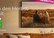 carolin_gisselmann